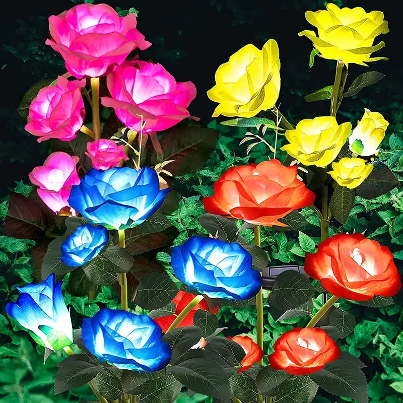 Color-Changing Solar Garden Roses front view showing vibrant petals