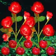 Color-Changing Solar Garden Roses front view showing vibrant petals
