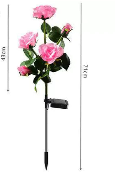 Color-Changing Solar Garden Roses arranged along a garden pathway