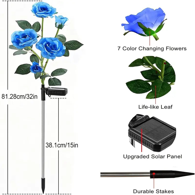 Color-Changing Solar Garden Roses front view showing vibrant petals