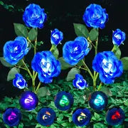 Color-Changing Solar Garden Roses front view showing vibrant petals